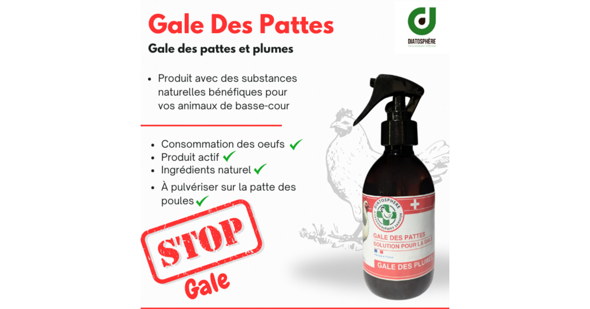 Gale des pattes pour poule